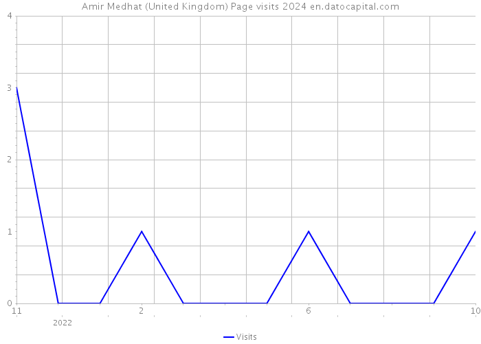 Amir Medhat (United Kingdom) Page visits 2024 