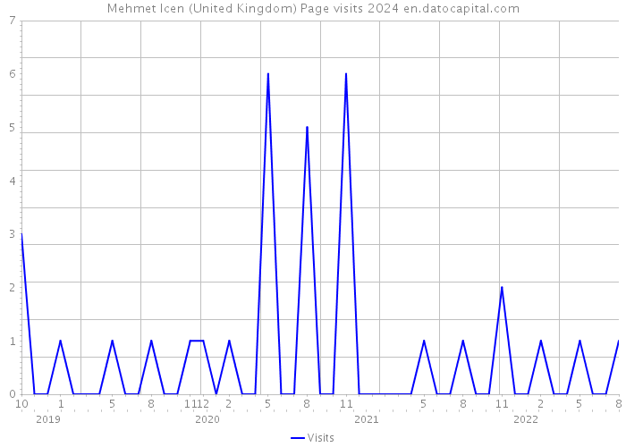 Mehmet Icen (United Kingdom) Page visits 2024 