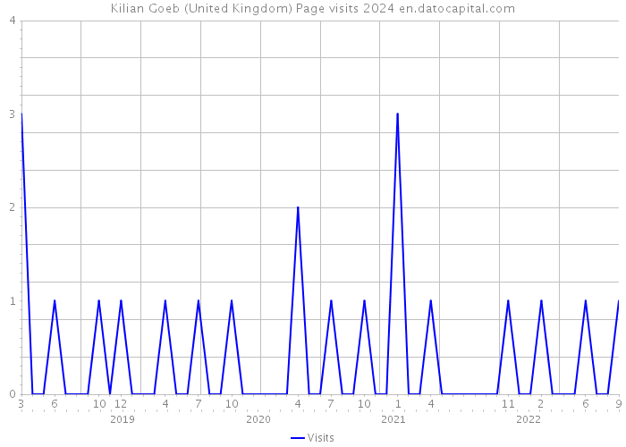 Kilian Goeb (United Kingdom) Page visits 2024 