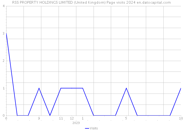 RSS PROPERTY HOLDINGS LIMITED (United Kingdom) Page visits 2024 