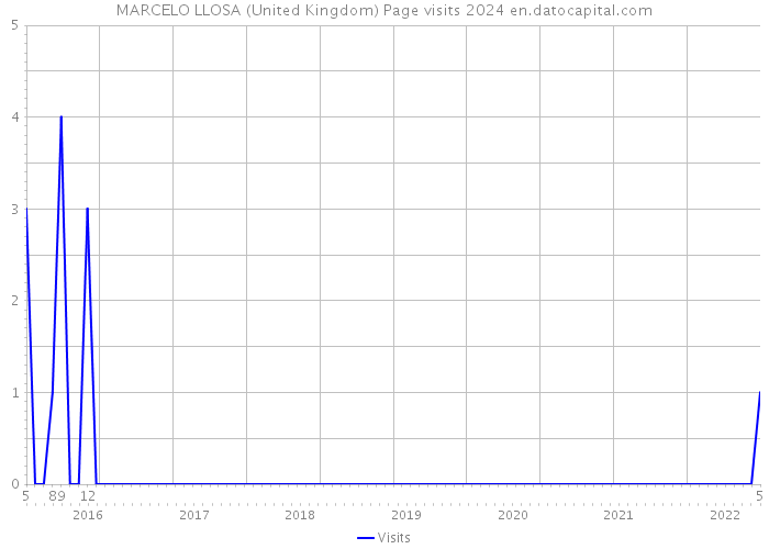 MARCELO LLOSA (United Kingdom) Page visits 2024 