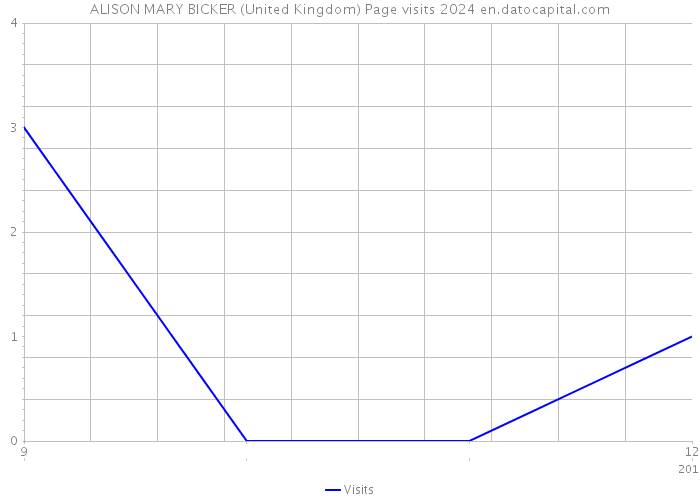 ALISON MARY BICKER (United Kingdom) Page visits 2024 
