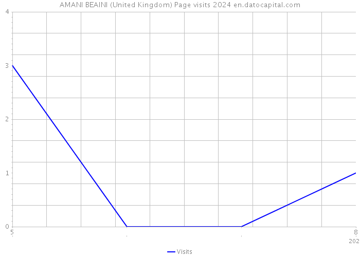 AMANI BEAINI (United Kingdom) Page visits 2024 