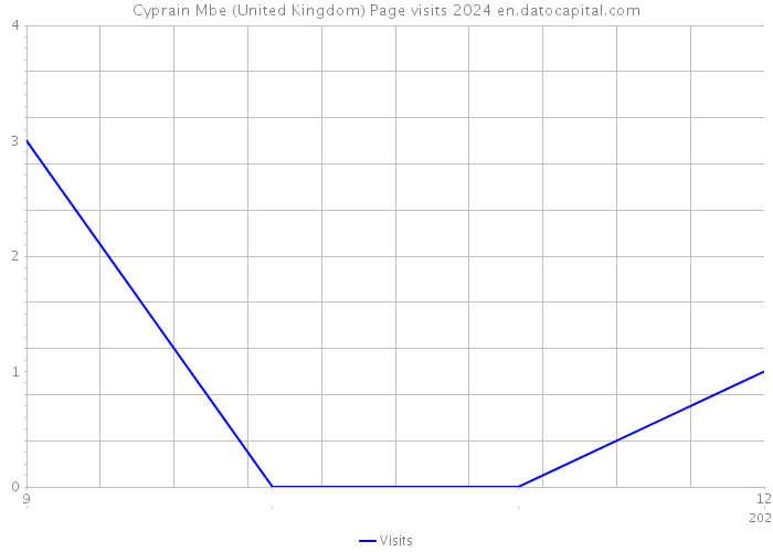 Cyprain Mbe (United Kingdom) Page visits 2024 