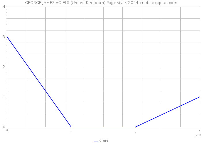 GEORGE JAMES VOIELS (United Kingdom) Page visits 2024 