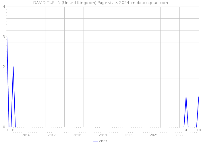 DAVID TUPLIN (United Kingdom) Page visits 2024 