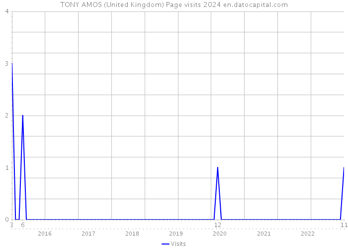 TONY AMOS (United Kingdom) Page visits 2024 