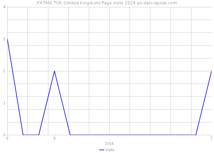 FATMA TOK (United Kingdom) Page visits 2024 