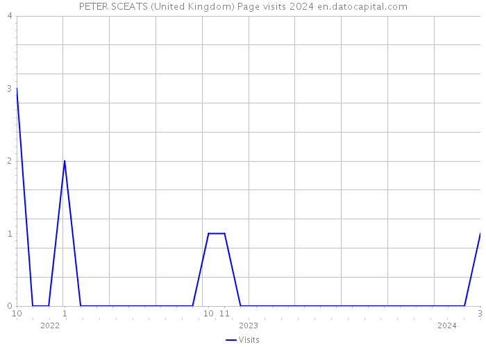 PETER SCEATS (United Kingdom) Page visits 2024 
