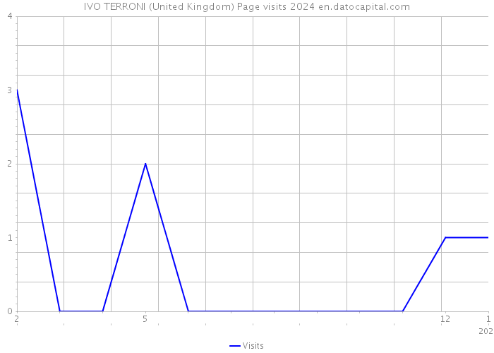 IVO TERRONI (United Kingdom) Page visits 2024 