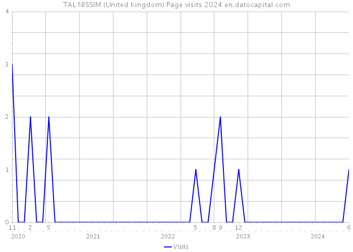 TAL NISSIM (United Kingdom) Page visits 2024 