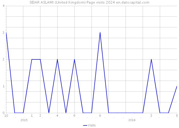 SEIAR ASLAMI (United Kingdom) Page visits 2024 