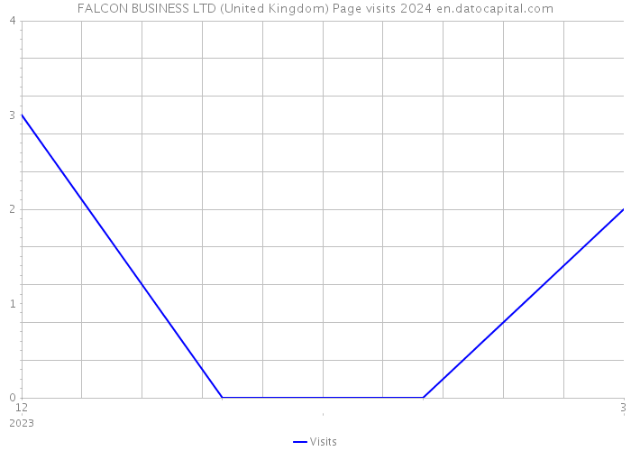 FALCON BUSINESS LTD (United Kingdom) Page visits 2024 