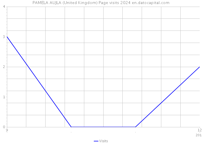 PAMELA AUJLA (United Kingdom) Page visits 2024 