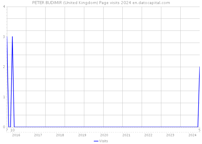 PETER BUDIMIR (United Kingdom) Page visits 2024 