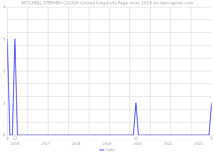 MITCHELL STEPHEN GOUGH (United Kingdom) Page visits 2024 