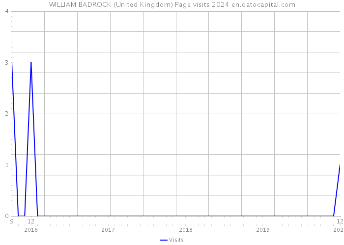 WILLIAM BADROCK (United Kingdom) Page visits 2024 
