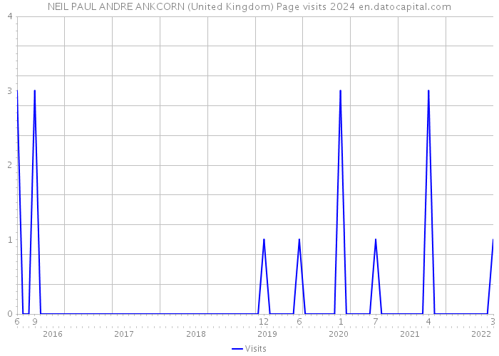 NEIL PAUL ANDRE ANKCORN (United Kingdom) Page visits 2024 