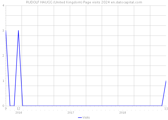 RUDOLF HAUGG (United Kingdom) Page visits 2024 