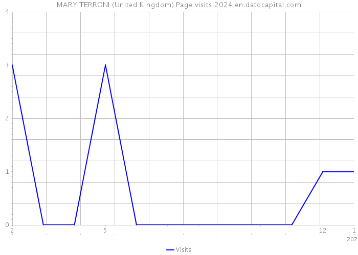 MARY TERRONI (United Kingdom) Page visits 2024 