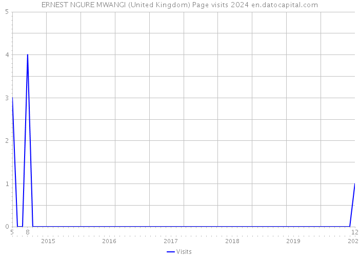 ERNEST NGURE MWANGI (United Kingdom) Page visits 2024 