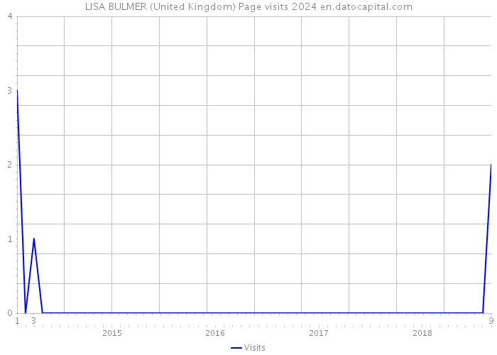 LISA BULMER (United Kingdom) Page visits 2024 