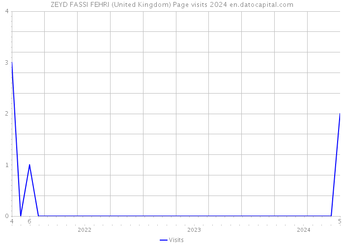ZEYD FASSI FEHRI (United Kingdom) Page visits 2024 