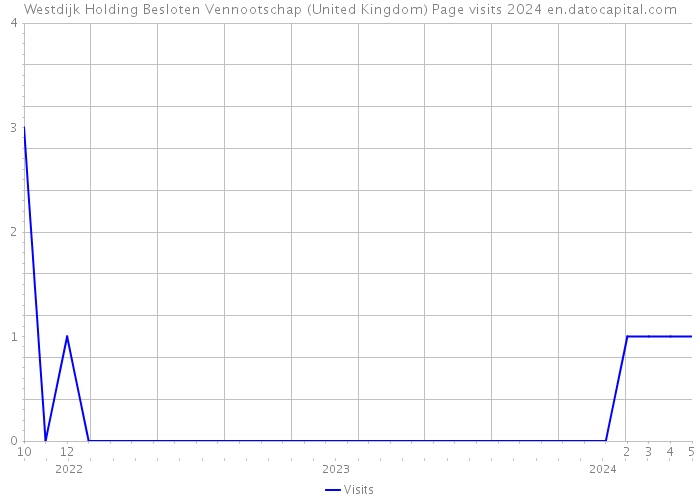Westdijk Holding Besloten Vennootschap (United Kingdom) Page visits 2024 