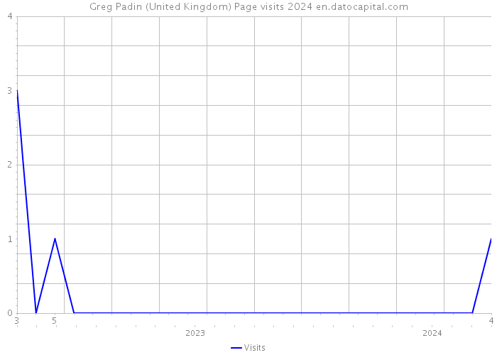 Greg Padin (United Kingdom) Page visits 2024 