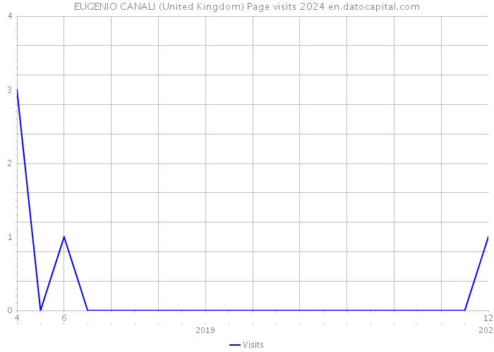 EUGENIO CANALI (United Kingdom) Page visits 2024 