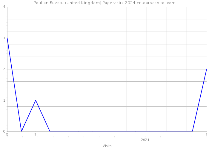 Paulian Buzatu (United Kingdom) Page visits 2024 