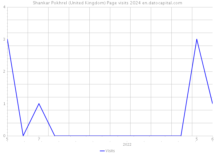 Shankar Pokhrel (United Kingdom) Page visits 2024 