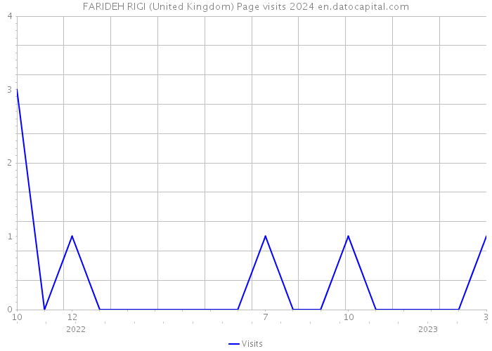 FARIDEH RIGI (United Kingdom) Page visits 2024 