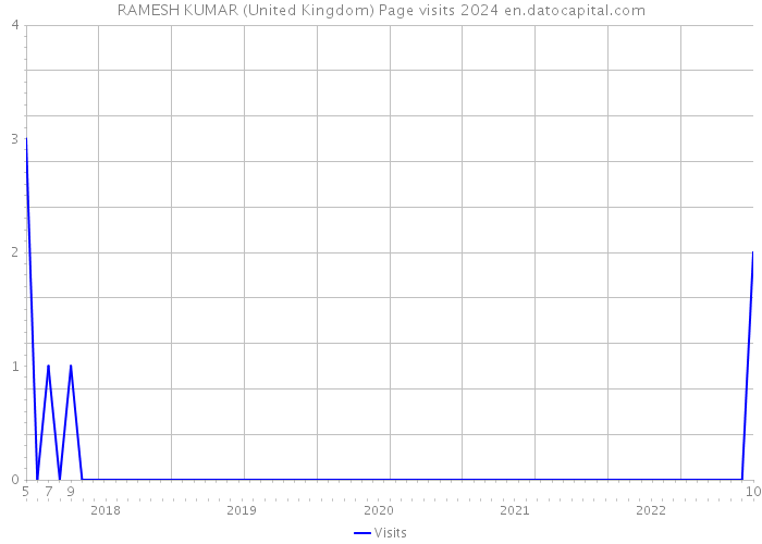 RAMESH KUMAR (United Kingdom) Page visits 2024 