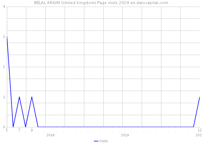 BELAL ARAIM (United Kingdom) Page visits 2024 