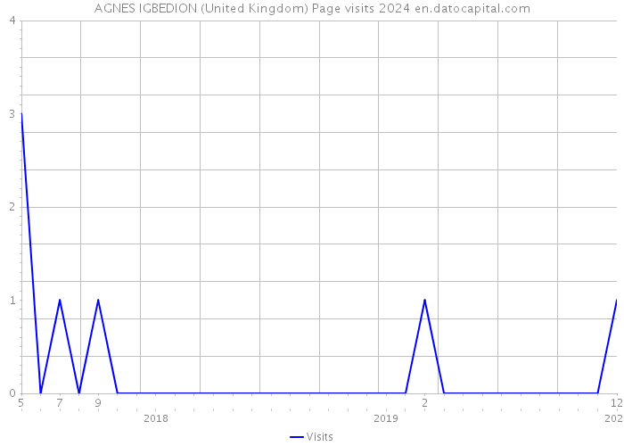 AGNES IGBEDION (United Kingdom) Page visits 2024 