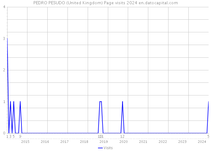 PEDRO PESUDO (United Kingdom) Page visits 2024 