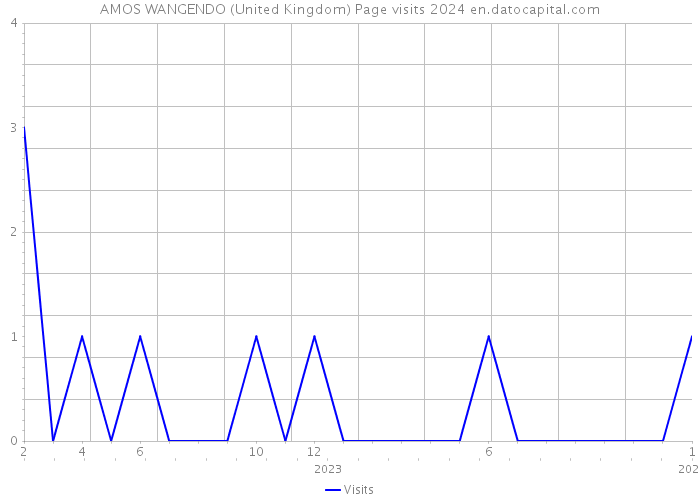 AMOS WANGENDO (United Kingdom) Page visits 2024 