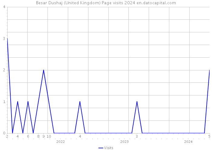 Besar Dushaj (United Kingdom) Page visits 2024 