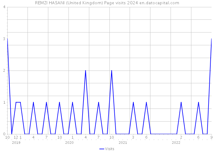REMZI HASANI (United Kingdom) Page visits 2024 