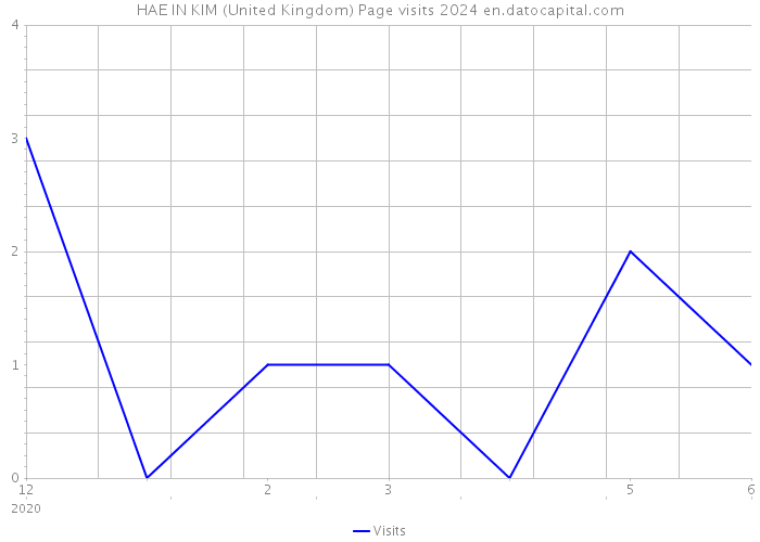 HAE IN KIM (United Kingdom) Page visits 2024 