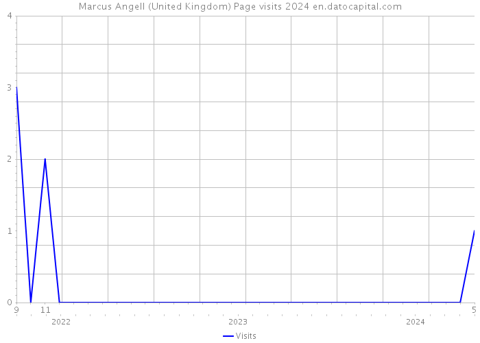 Marcus Angell (United Kingdom) Page visits 2024 