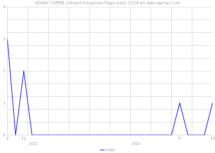 ADAM COPPEL (United Kingdom) Page visits 2024 