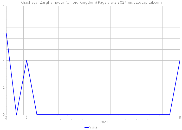 Khashayar Zarghampour (United Kingdom) Page visits 2024 