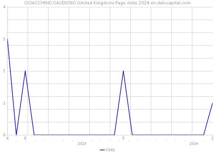 GIOACCHINO GAUDIOSO (United Kingdom) Page visits 2024 