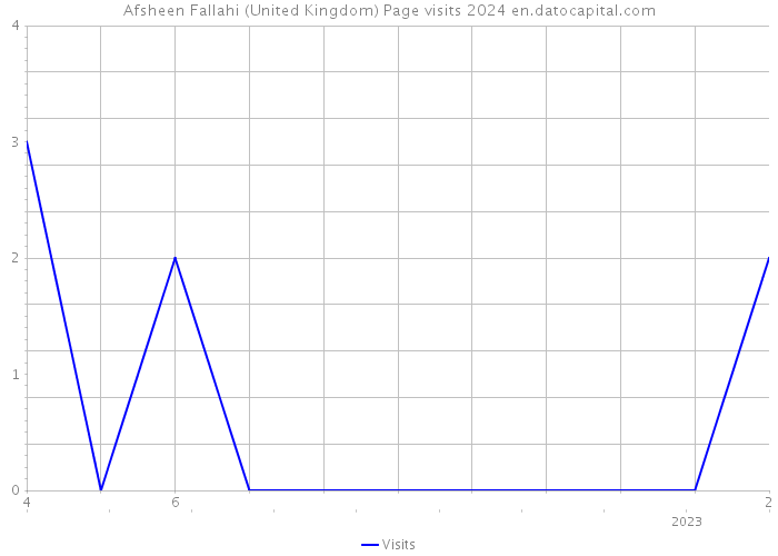 Afsheen Fallahi (United Kingdom) Page visits 2024 