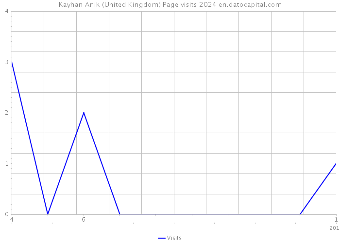 Kayhan Anik (United Kingdom) Page visits 2024 