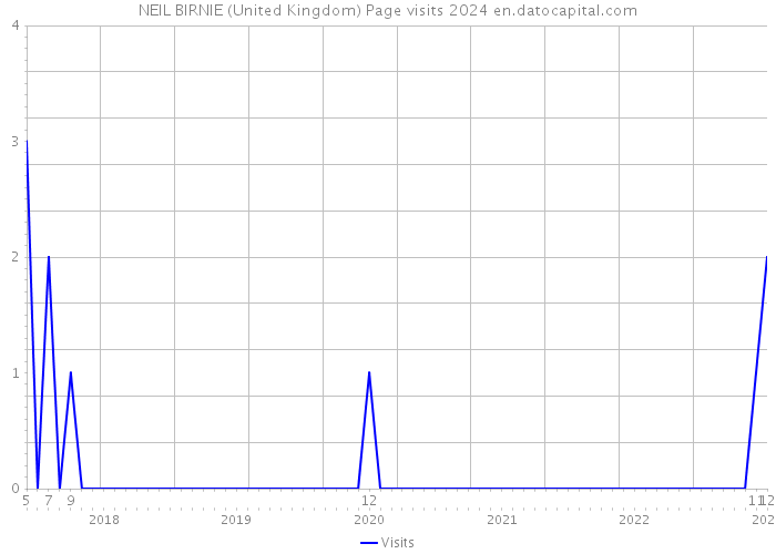 NEIL BIRNIE (United Kingdom) Page visits 2024 
