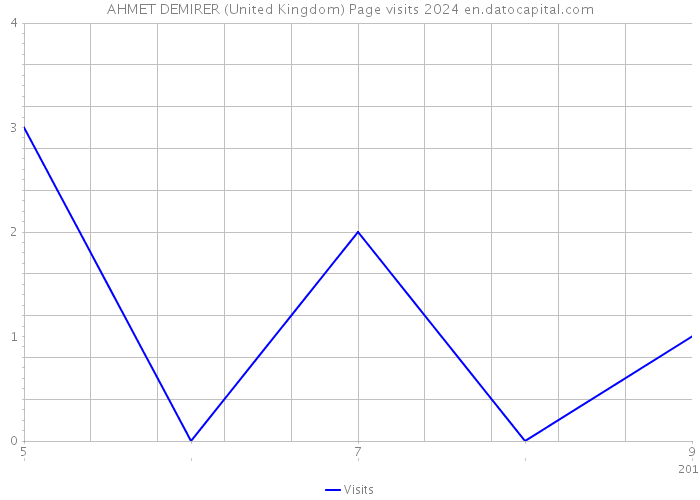 AHMET DEMIRER (United Kingdom) Page visits 2024 