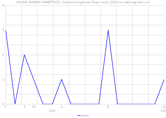 NUSHA HAMIDI AHMETAGIC (United Kingdom) Page visits 2024 